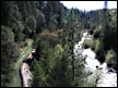 Bear Canal River near Colfax