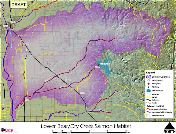Lower Bear/Dry Creek Salmon Habitat
